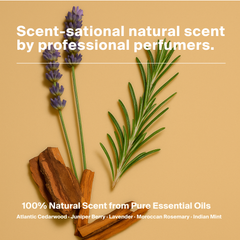 Mini Travel Superfood Shampoo