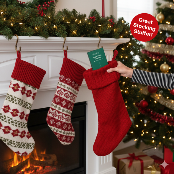 Mini Travel Hair Duo Gift Set